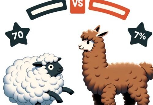alpaca vs sheep
